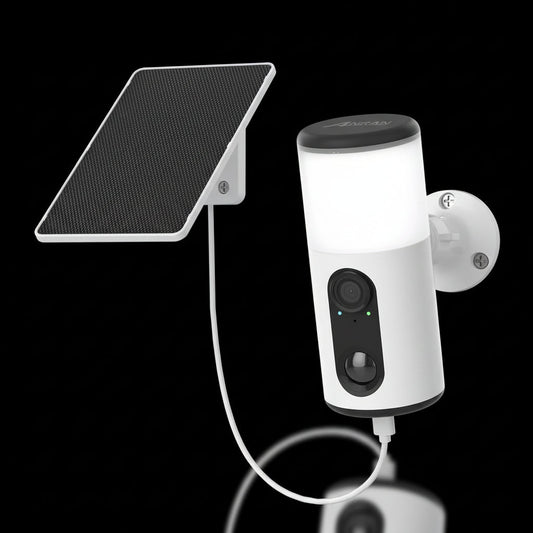 Caméra Solaire ANRAN Projecteur LED Détection IA Vision Nocturne